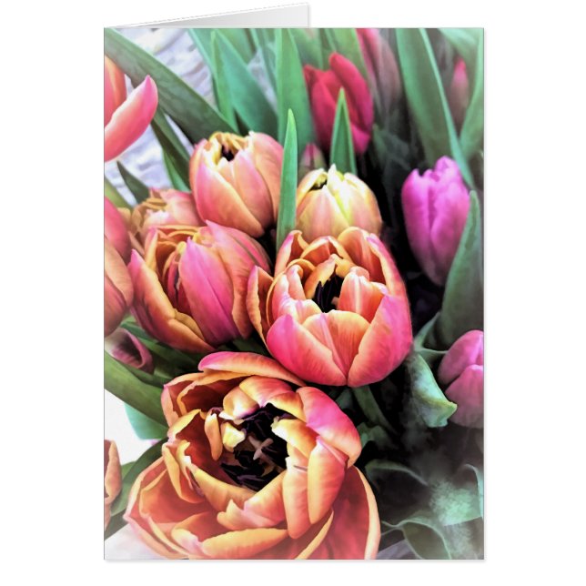 Tulips Bouquet (Voorkant)