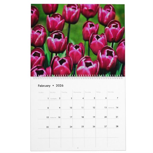 tulips Calendar Kalender (Feb 2026)