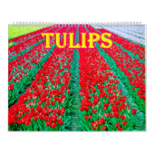 tulips Calendar Kalender (Hoes)