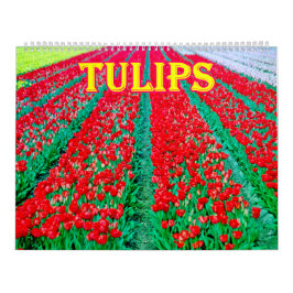 tulips Calendar Kalender