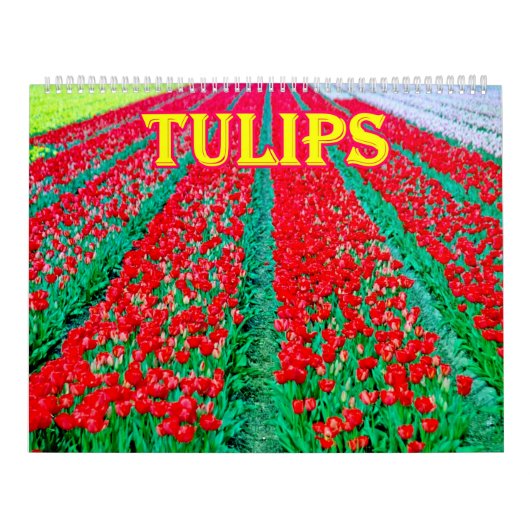 tulips Calendar Kalender (Hoes)