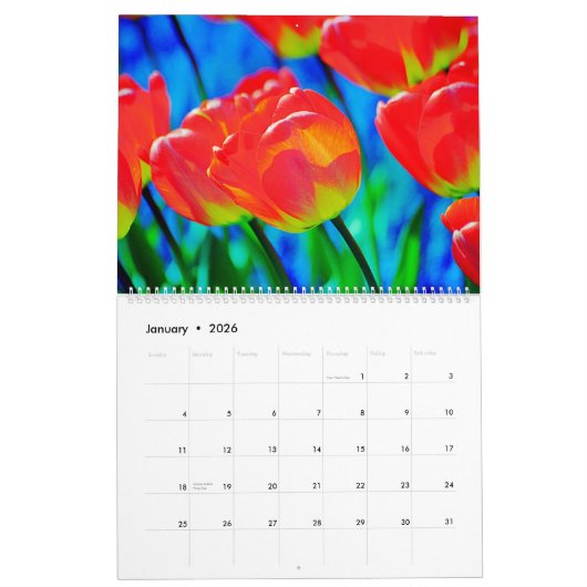 tulips Calendar Kalender (Jan 2026)