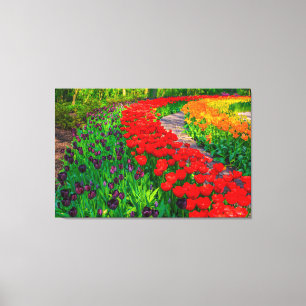 Tulips Canvas Art Afdruk