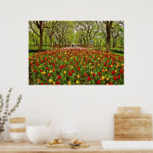 Tulips Central Park NYC Poster (Keuken)