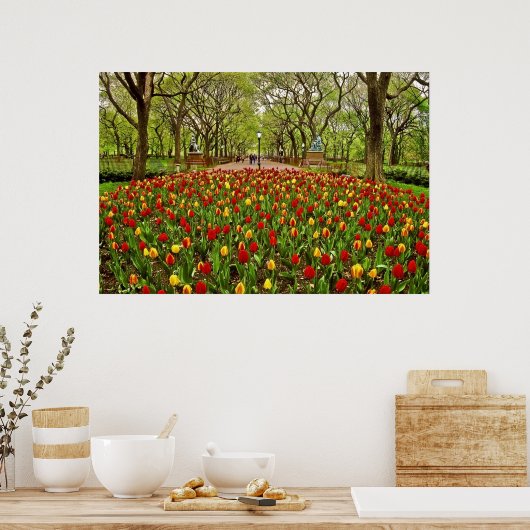 Tulips Central Park NYC Poster (Keuken)