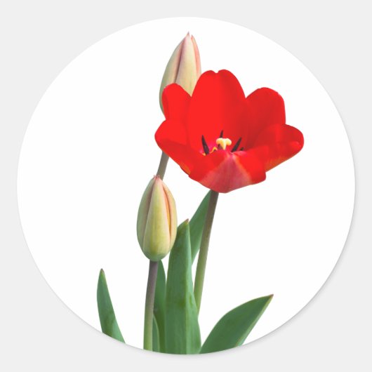 Tulips Classic Round Sticker (Voorkant)