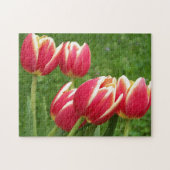 Tulips Closeup Legpuzzel (Horizontaal)