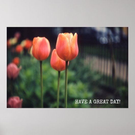 Tulips Floral Tulip Garden Spring Day Flowers Poster (Voorkant)