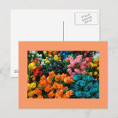 Tulips Galore Briefkaart (Voorkant / Achterkant)