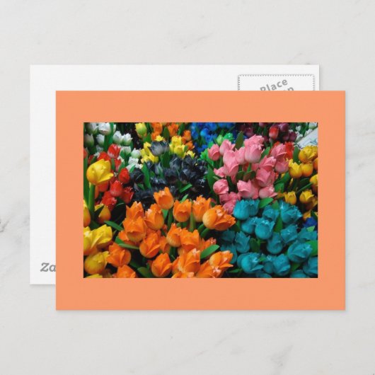 Tulips Galore Briefkaart (Voorkant / Achterkant)