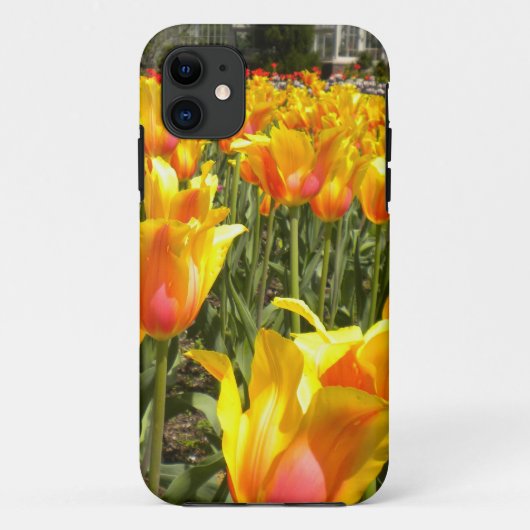 Tulips Galore iPhone 5 hoesje (Achterkant)