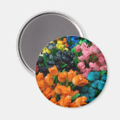 Tulips Galore Magneet (Voorkant / Achterkant)