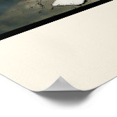 TULIPS in AMSTERDAM, poster (Hoek)