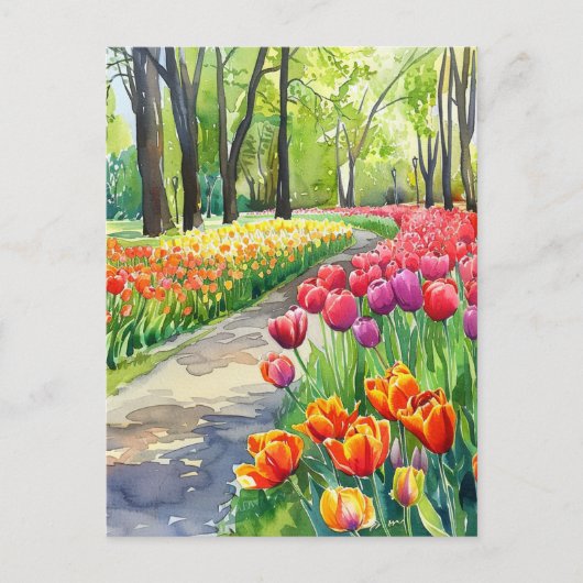 Tulips in The Park Briefkaart (Voorkant)