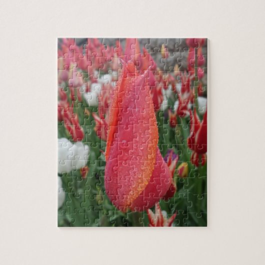Tulips Jigzaag Puzzle Legpuzzel (Verticaal)