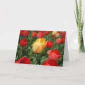 TULIPS KAART (Voorkant)