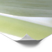 Tulips, Keukenhoff Gardens, Nederland. 2 Poster (Hoek)