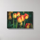 Tulips met tapijdoek canvas afdruk (Voorkant)