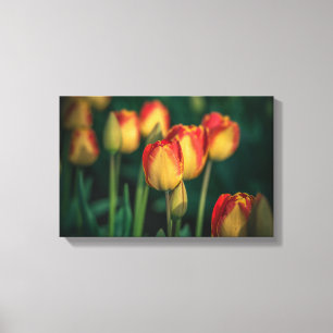 Tulips met tapijdoek canvas afdruk