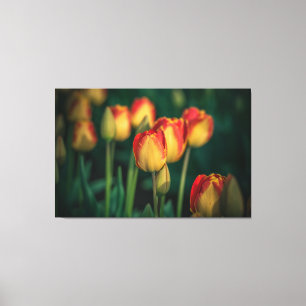 Tulips met tapijdoek canvas afdruk