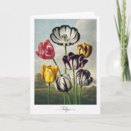 Tulips — Modern Botanical Reinterpretation Kaart (Voorkant)