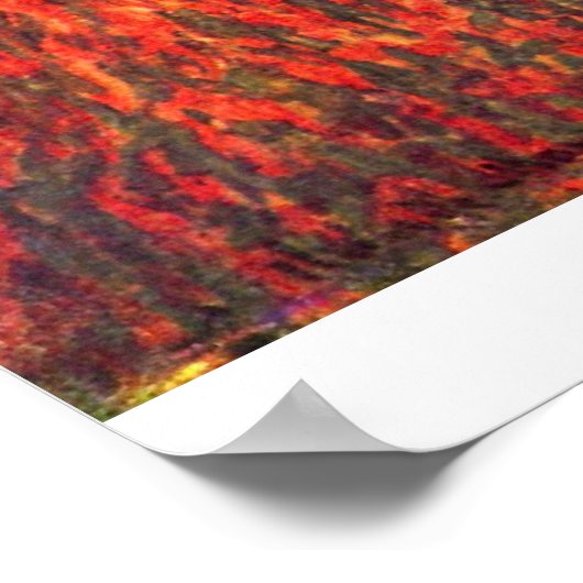 Tulips of Holland by Claude Monet Poster (Hoek)