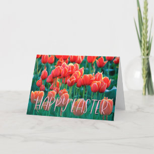Tulips Photo Happy Paast Kaart