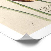 Tulips Poster (Hoek)