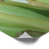 TULIPS-POSTER POSTER (Hoek)