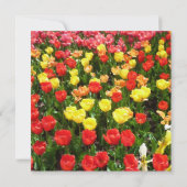 Tulips Weddenschap Bridal Shower Kaart (Achterkant)