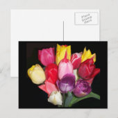 Tulips zegt alles briefkaart (Voorkant / Achterkant)