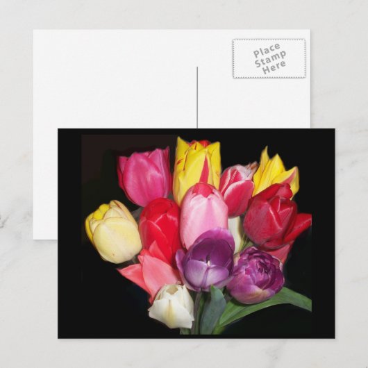 Tulips zegt alles briefkaart (Voorkant / Achterkant)