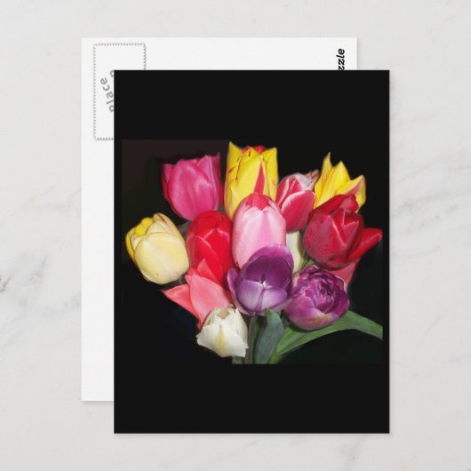 Tulips zegt alles briefkaart (Voorkant / Achterkant)
