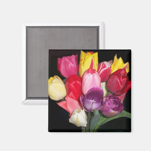 Tulips zegt alles magneet (Voorkant / Achterkant)