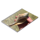 Tulipschelp Zeeslak Fotografie Aangepaste Titel Notitieboek (Linkerzijde)