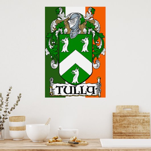Tully Coat of Arms Irish Flag Print (Keuken)
