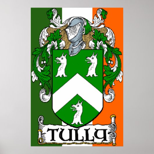 Tully Coat of Arms Irish Flag Print (Voorkant)