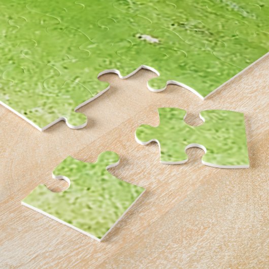 Tully Kildare Japanse tuinen Legpuzzel (Zijkant)