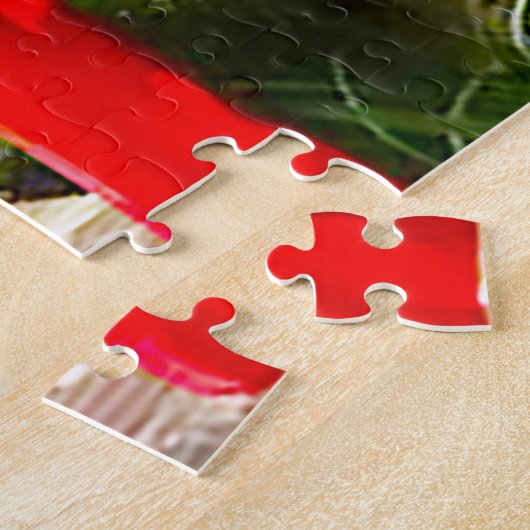 Tully Kildare Japanse tuinen Legpuzzel (Zijkant)