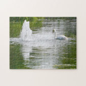 Tully, Kildare .Swans op het meer Legpuzzel (Horizontaal)