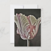 Tulp (Voorkant)