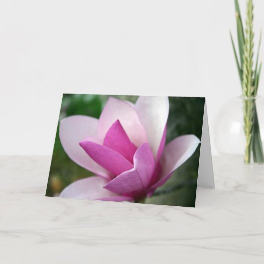 tulp 001 kaart (Voorkant)