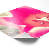 Tulp Anatomie. Foto Afdruk (Hoek)