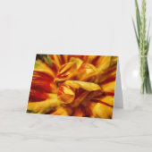 Tulp Bloem Bloemstuk Bloemblad Notitiekaart (Voorkant)