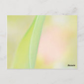 tulp bloem dank je wel blanco kaart (Achterkant)