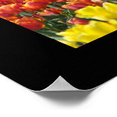 Tulp Bloem Festival Schone Kunst Prints (Hoek)