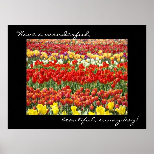 Tulp Bloem kunstprint Kleurrijke Geweldige Dag Poster (Voorkant)