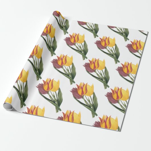 Tulp Bloem Patroon Cadeaupapier (Uitgerold)