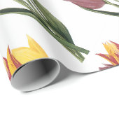 Tulp Bloem Patroon Cadeaupapier (Rol Hoek)