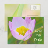 tulp bloem save the date blanco kaart (Voorkant / Achterkant)